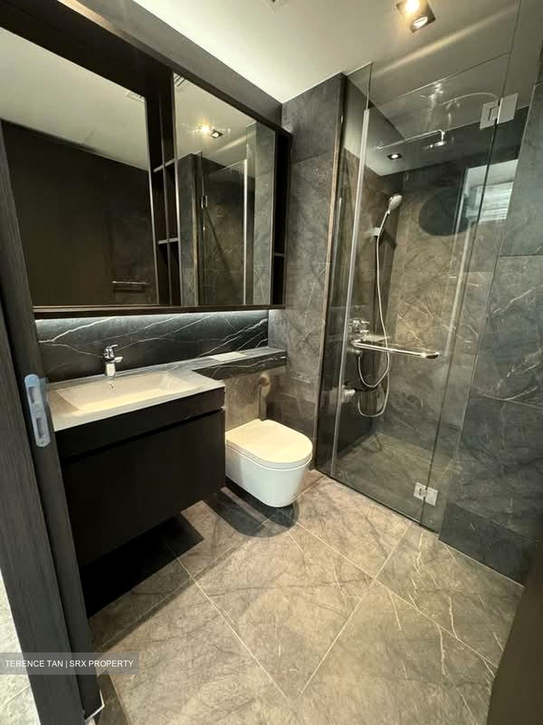 Hyll On Holland (D10), Condominium #550990521